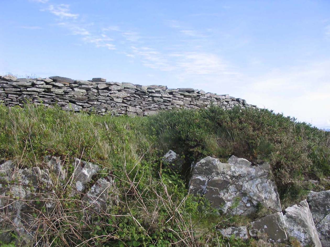 Outside wall of ring fort near Castletownshend 2007.jpg 240.0K